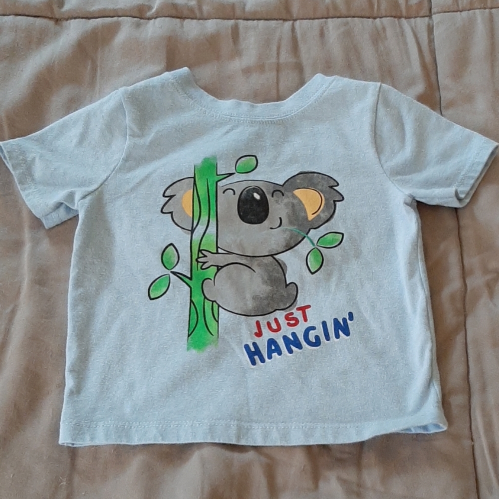 Boys toddler shirt and shorts
